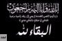 الصحة: إرتفاع حالات الشفاء من مصابي فيروس كورونا إلى 596 وخروجهم من مستشفيات العزل والحجر الصحي