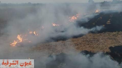 مدير التأمين الصحي يتفقد المركز الطبى بالحى التاسع بالعاشر من رمضان